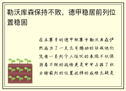 勒沃库森保持不败，德甲稳居前列位置稳固